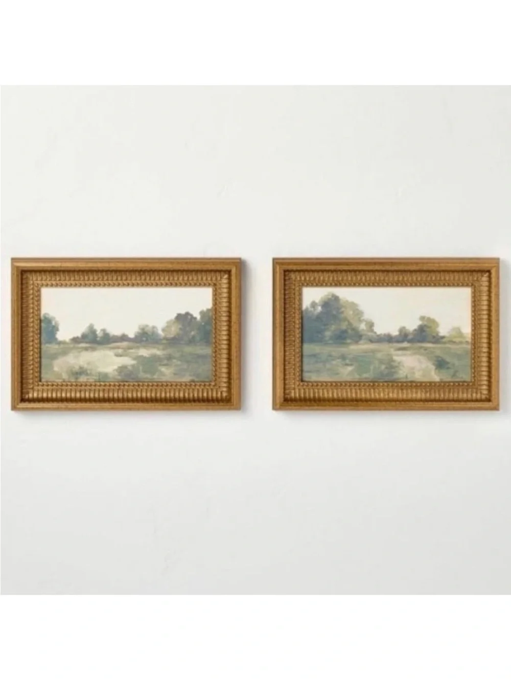 Hearth and Hand Gold Framed Landscape Wall Art - Set of 2